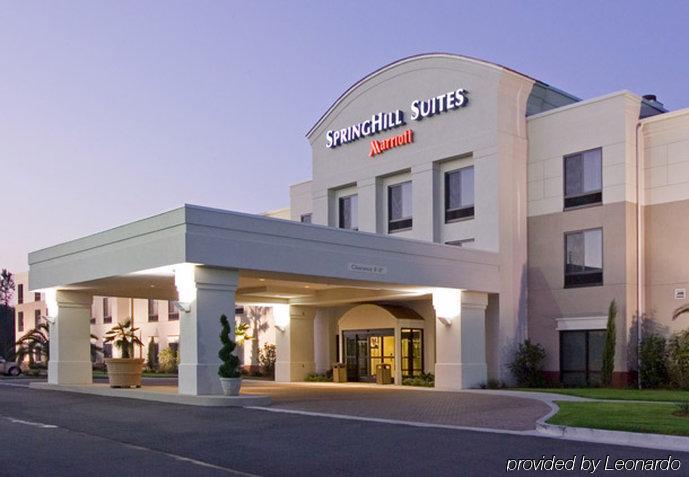 Springhill Suites By Marriott Corpus Christi Eksteriør bilde